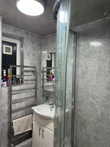 a bathroom with a sink and a shower at 3 Bedroom Entire Flat, Primrose Hill in London