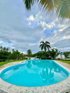 una piscina azul con palmeras en el fondo en BeachSide B&B Hotel, en Arroyo Lucas