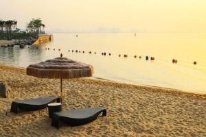 a beach with two chairs and an umbrella and the water at Fliport Wutong Hotel-Free Welcome Fruit & Near Exhibition Center in Xiamen