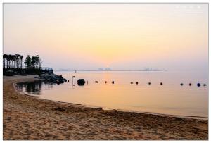 una playa con un grupo de aves en el agua en Fliport Wutong Hotel-Free Welcome Fruit & Near Exhibition Center en Xiamen