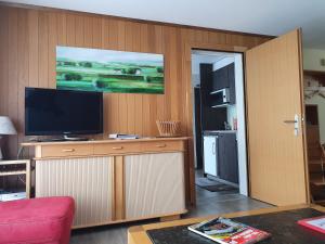 TV at/o entertainment center sa Elfe - Apartments Three-bedroom Apartment for 6 guests with patio