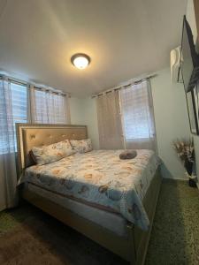 1 dormitorio con 1 cama en una habitación con ventanas en Casa Laguna Unit 6, Spacious 3BR Near Beach and Restuarants, en San Juan