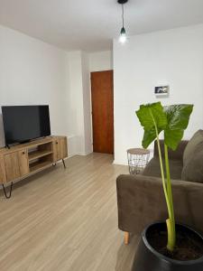 uma sala de estar com um sofá e uma planta em Departamento Pleno Centro de Córdoba Capital em Córdoba