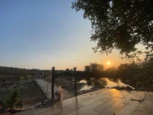 a dog sitting on a wooden walkway at sunset at RUSTIC VOGUE in Shamirpet