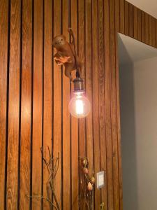 a light hanging from a wooden wall with a mouse on it at Layoo, Tu Casa en Oaxca 105 in Oaxaca City +2 photos