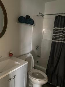 een badkamer met een toilet, een wastafel en een douche bij Sweet Home IN in Indianapolis
