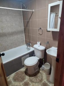 a bathroom with a toilet and a tub and a sink at Ruta Austral - Coyhaique in Coihaique