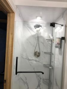 ein Bad mit einer Dusche mit einem Duschkopf in der Unterkunft Hershey retreat 4 in Harrisburg
