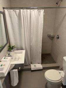 y baño con cortina de ducha blanca y aseo. en Hotel Ponce de Leon en Miami