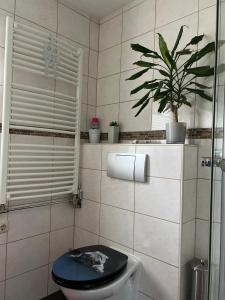 a bathroom with a toilet with a blue lid and a plant at Ferienwohnung Chaves in Bad Karlshafen