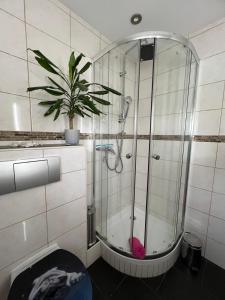 een badkamer met een douche en een potplant bij Ferienwohnung Chaves in Bad Karlshafen