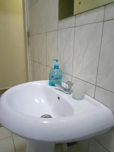 Imagen de la galería de Amaryllis blue,8mins source to River Nile,secure, peaceful, central great location, en Jinja 8 fotos más