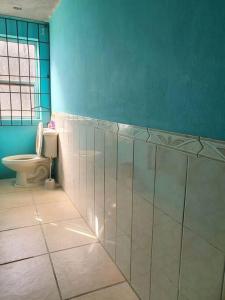 baño con aseo y pared azul en House for 5 with vehicle included in Roatan, en Roatán