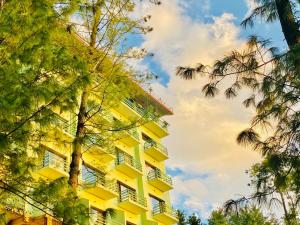 a yellow building with white windows and trees at Aachman Nature Valley Resort Shimla in Shimla