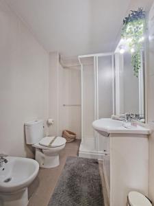 ein weißes Bad mit einem WC und einem Waschbecken in der Unterkunft City Center Penthouse by NRAS in Alicante