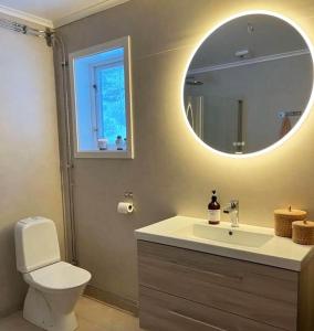 a bathroom with a toilet and a sink and a mirror at Charming cottage in Forsa, Hudiksvall with lake view in Hudiksvall