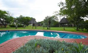 a swimming pool in a yard with trees and grass at Northgate Lodge in Louis Trichardt