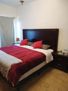 a bedroom with a large bed with red pillows at La Cortesana in Mexico City