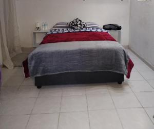 墨西哥城的住宿－La Cortesana，一间卧室配有一张带红色和灰色毯子的床
