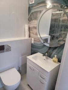 a bathroom with a toilet and a sink and a mirror at Apartamenty Planeta 105, 108 Mielno - parking w cenie pobytu in Mielno +7 photos