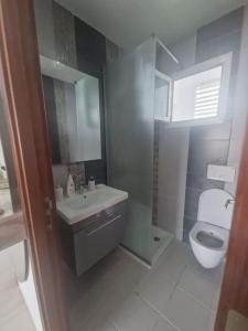 uma casa de banho com um lavatório e um WC em Appartement proche de la plage à 200 M restaurant Piccolino em Dar el Koudia