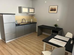 Kuchyňa alebo kuchynka v ubytovaní H-T-L Apartamenty Junior