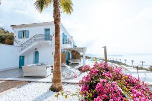 a villa with a palm tree and flowers at Luxury Apartments La Villa in Chorto
