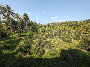 a field of palm trees on top of a hill at Vedantha Inn in Kovalam