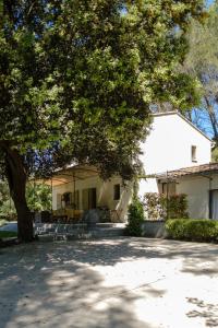 una casa con un árbol delante de ella en Le Répertoire - Maison Andréa, en Pernes-les-Fontaines