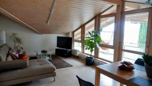 a living room with a couch and a tv at Casa Luna in Ballrechten-Dottingen