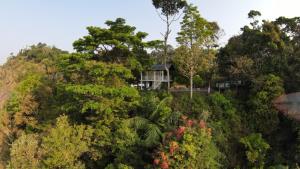 a house on top of a hill with trees at Cloudy Cove Resort in Meppādi