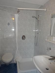 La salle de bains est pourvue d'une douche, de toilettes et d'un lavabo. dans l'établissement Pension Hasslhof, à Caldaro