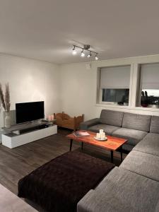 a living room with a couch and a tv at Your home away from home, apartment 2 in Tromsø