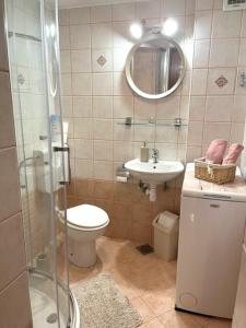 een badkamer met een toilet, een wastafel en een spiegel bij Studio Olea in Koper