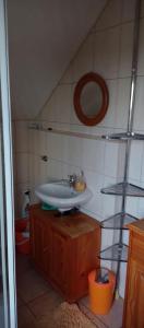 La salle de bains est pourvue d'un lavabo et d'un miroir. dans l'établissement Haus-Irmgard, à Neu Schloen
