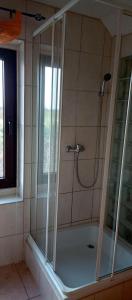 La salle de bains est pourvue d'une douche et d'une cabine de verre. dans l'établissement Haus-Irmgard, à Neu Schloen