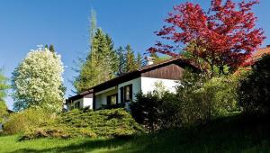 dom na zboczu wzgórza z drzewami w obiekcie Ferienhäuser im Feriendorf Weissensee im Allgäu E w mieście Hafenegg