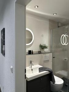 a bathroom with a sink and a toilet and a mirror at Apartment Schwinbachblick mit 2 Balkonen in St. Blasien