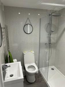 a bathroom with a shower and a toilet and a sink at Poppy Lodge faversham in Boughton Street