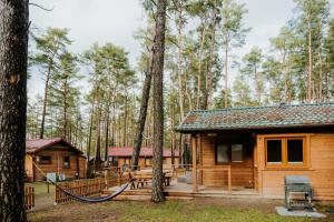 a cabin in the woods with a picnic table at WYPOCZYWANKO w BORSKU domek 24 in Borsk