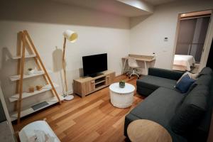 ein Wohnzimmer mit einem Sofa und einem TV in der Unterkunft Braddon 1BR Apt, WiFi, Secure Parking, AMAZING LOCATION in Canberra