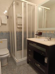 a bathroom with a shower and a toilet and a sink at Apartamentos Astilleros in Candás