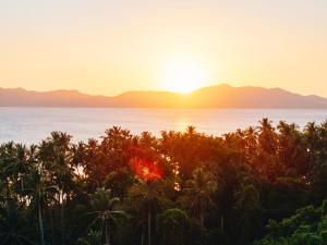een zonsondergang boven de oceaan en palmbomen bij Sunset Colors in San Vicente