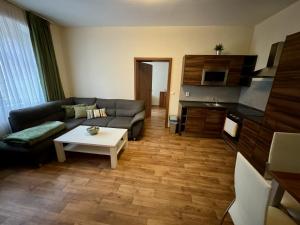 a living room with a couch and a table at Apartmány Laubeho náměstí in Teplice +30 photos