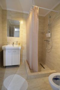 a bathroom with a shower and a sink and a toilet at Vila La Panda in Costinesti