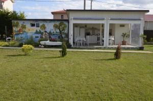 a house with a mural on the side of it at Vila La Panda in Costinesti +17 photos