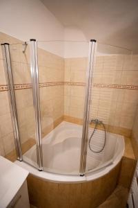 a bath tub with a shower in a bathroom at Apartment Gracia 1 in Baška +12 photos