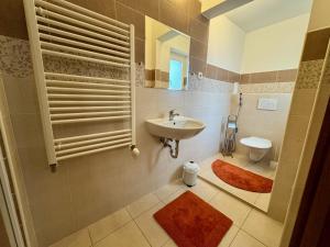 ein Bad mit einem Waschbecken und einem WC in der Unterkunft Apartmány Laubeho náměstí in Teplice
