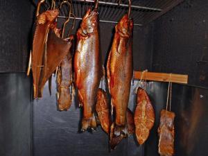 um monte de peixes pendurados numa parede em Bungalow und Ferienwohnung auf Rügen em Kluis