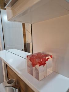 a red flower in a box on a kitchen counter at Apartmani Leburic in Prnjavor +98 photos